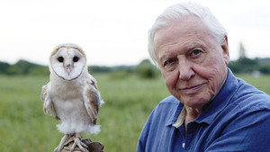 David Attenborough's Conquest of the Skies 3D 1. évad Ep.3 3. epizód