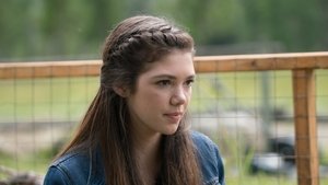 Heartland 10. évad Ep.7 7. epizód