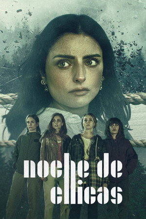 Noche de chicas poszter