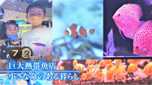 ドキュメント72時間 12. évad Ep.17 17. epizód