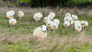 Countryfile 35. évad Ep.13 13. epizód