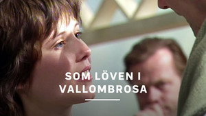Som löven i Vallombrosa kép