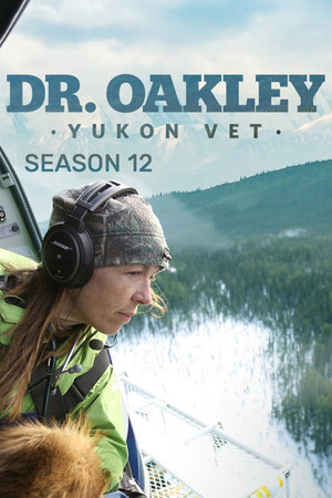 Dr. Oakley házhoz megy 12. évad (2023-09-09) poszter