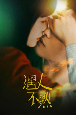 非正式浪漫 poszter