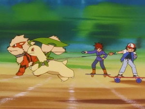 Pokémon 5. évad Ep.19 19. epizód
