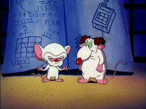 Pinky and the Brain 3. évad Ep.3 3. epizód
