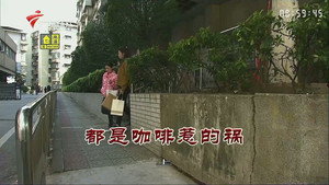 外来媳妇本地郎 9. évad Ep.3353 3353. epizód