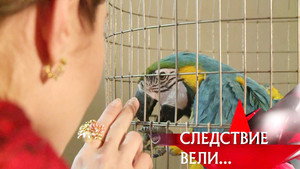 Следствие вели... 11. évad Ep.4 4. epizód