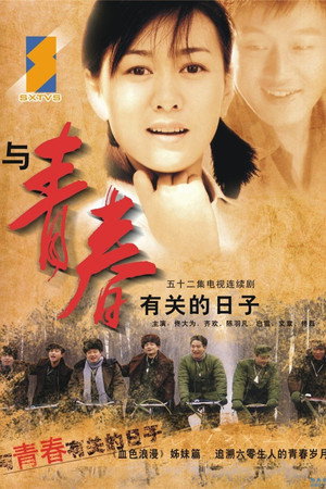 与青春有关的日子 poszter