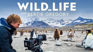 Wild Life with Bertie Gregory kép
