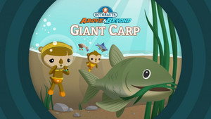 Octonauts: Above & Beyond 2. évad Ep.21 21. epizód