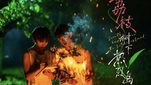 荔枝树下热烈岛 kép