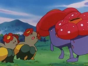 Pokémon 5. évad Ep.30 30. epizód