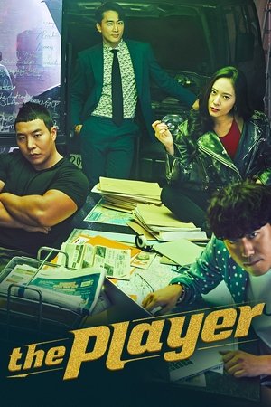 플레이어 poszter