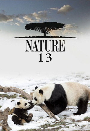 Nature 13. évad (1994-10-02) poszter