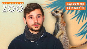 Une saison au zoo 8. évad Ep.21 21. epizód