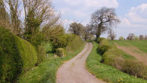 Escape to the Country 14. évad Ep.28 28. epizód