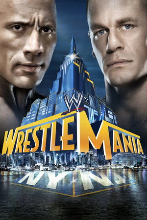 WWE Pay Per View 29. évad (2013-01-27) poszter