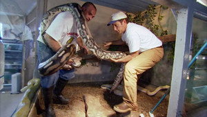 Dirty Jobs 3. évad Ep.10 10. epizód