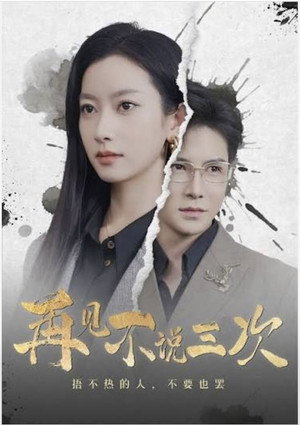 再见不说三次 (2025)