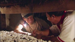 Dirty Jobs 2. évad Ep.4 4. epizód