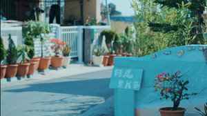 向流星許願的我們 kép