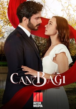 Can Bagi