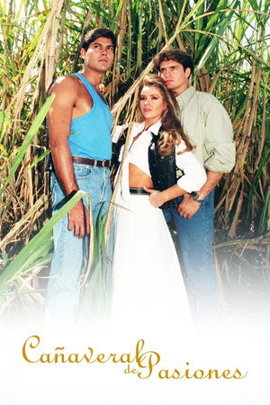 Cañaveral de Pasiones 1. évad (1996-04-22) poszter