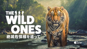 The Wild Ones kép