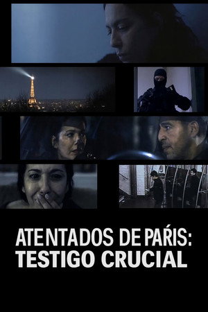 13 novembre, le choix de Sonia poszter