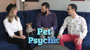The Pet Psychic 1. évad Ep.3 3. epizód
