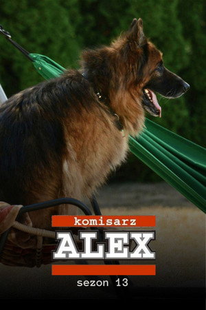 Alex felügyelő 13. évad (2019-09-07) poszter
