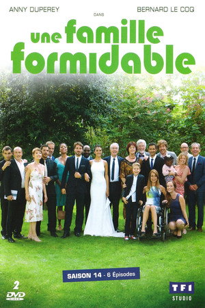 Une famille formidable 14. évad (2017-11-21) poszter