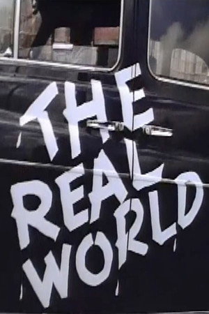 The Real World 4. évad (1995-06-28) poszter