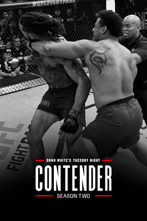 Dana White's Contender Series 2. évad (2018-06-12) poszter