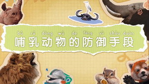 斑马百科 9. évad Ep.7 7. epizód
