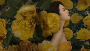 玫瑰的故事 kép