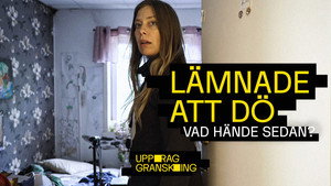 Uppdrag granskning sommar 2025. évad Ep.2 2. epizód