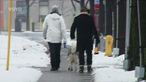 Storage Wars: Northern Treasures 1. évad Ep.35 35. epizód