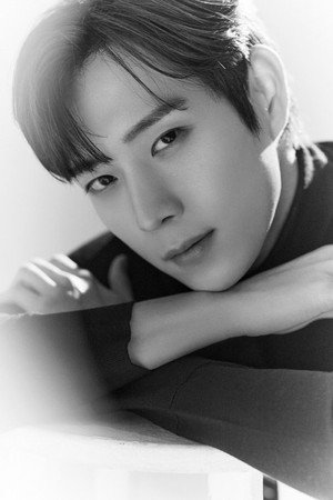 김영대 profil kép