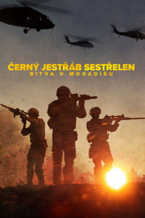 A Sólyom végveszélyben: A mogadishui csata poszter
