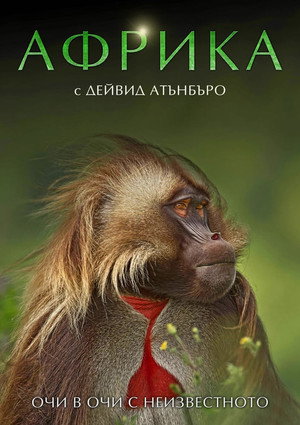 A varázslatos Afrika poszter