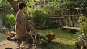 ต้นส้มบ้านเขา แต่ผลส้มหล่นมาบ้านเราตลอดเลย kép