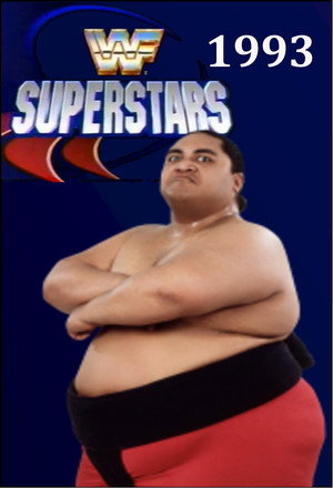 WWF Superstars 8. évad (1993-01-02) poszter