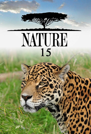 Nature 15. évad (1996-10-13) poszter