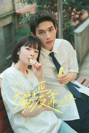 偏爱靠近你
