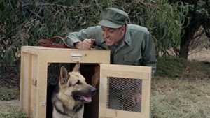 Gomer Pyle, U.S.M.C. 2. évad Ep.5 5. epizód