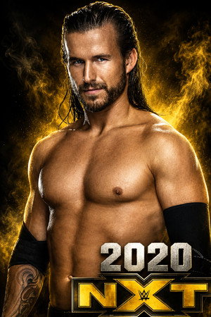 WWE NXT 14. évad (2020-01-01) poszter