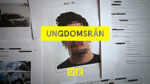 Uppdrag granskning sommar 2020. évad Ep.5 5. epizód