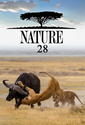 Nature 28. évad (2009-10-25) poszter